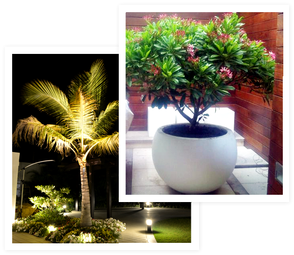 images/bg-3-part-604x525.png